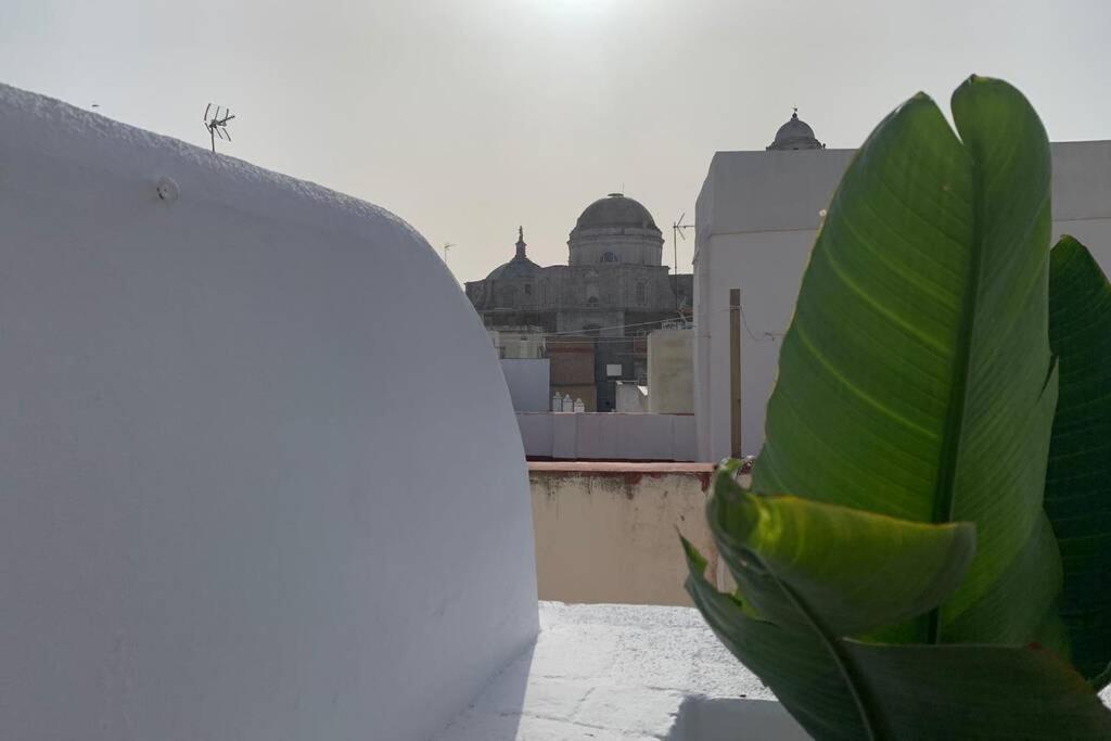 Hidden Gem Penthouse Populo Y Catedral Apartment Cadiz Luaran gambar