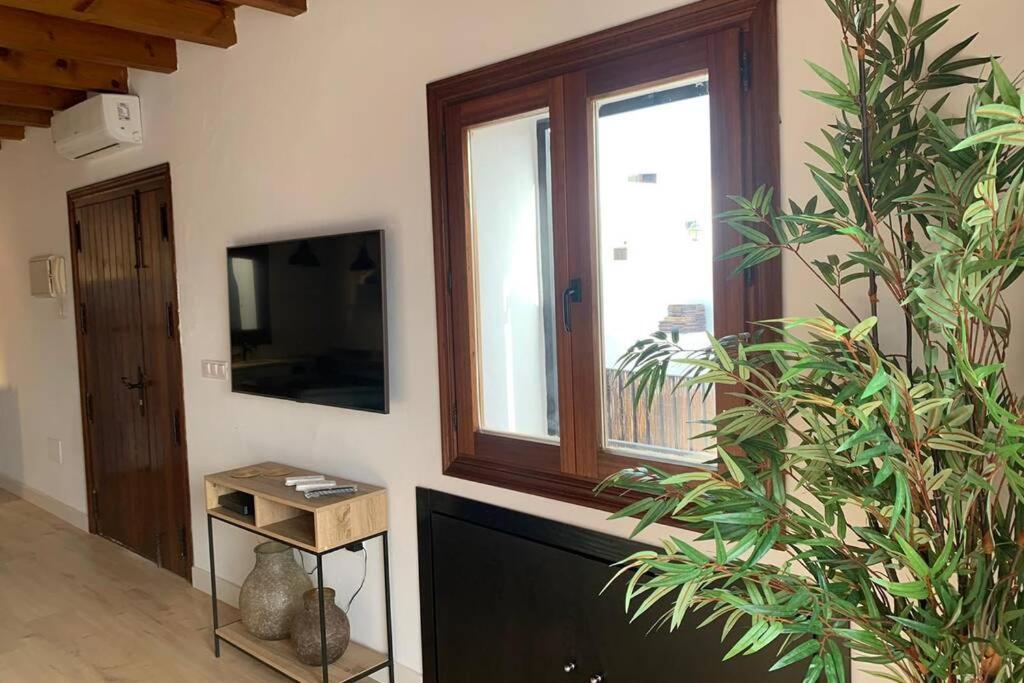 Hidden Gem Penthouse Populo Y Catedral Apartment Cadiz Luaran gambar